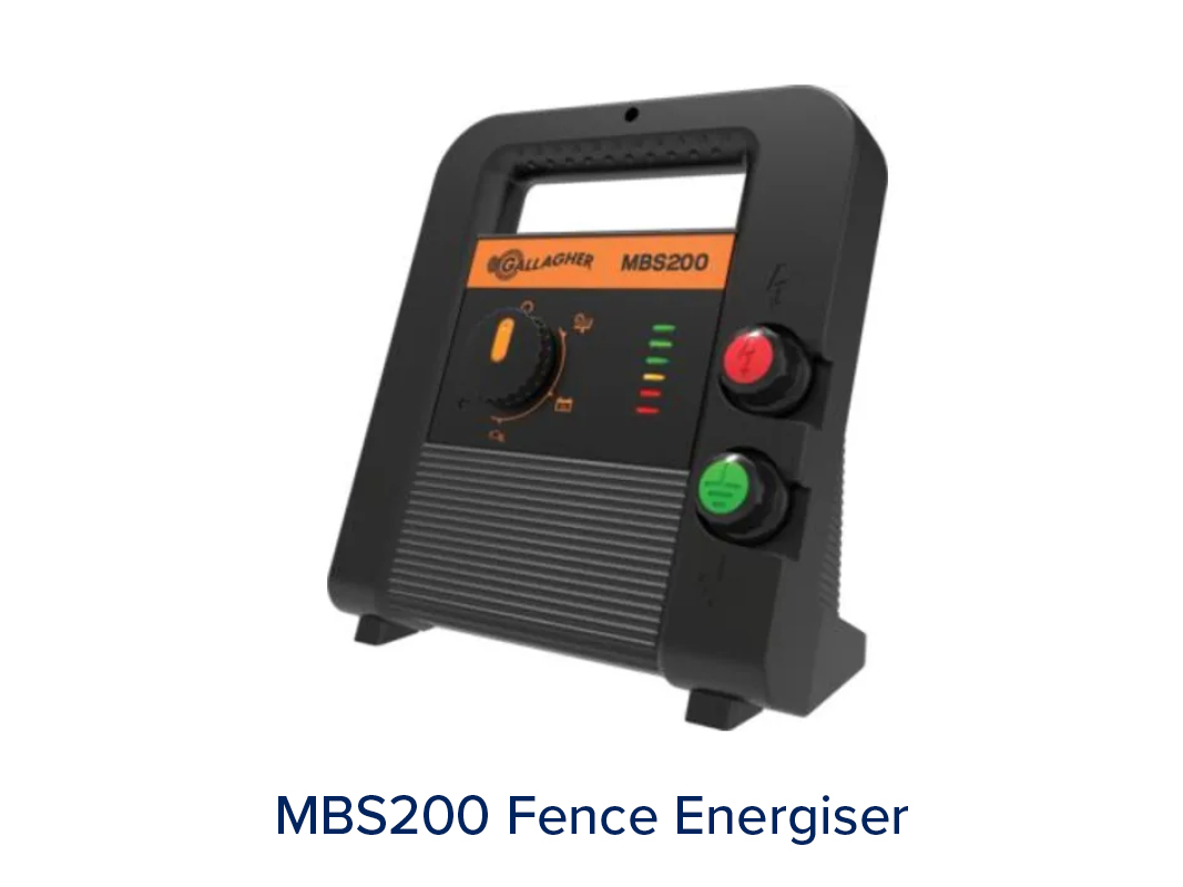 Energisers - Image 2