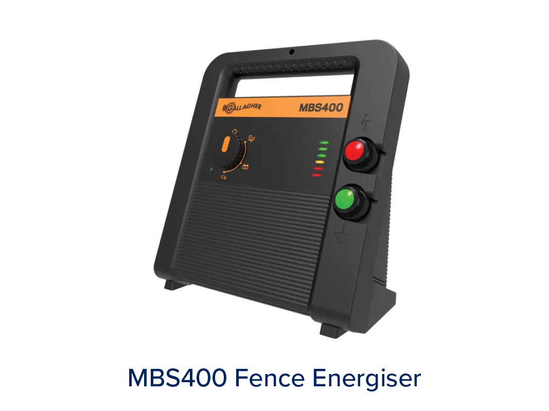 Energisers - Image 3