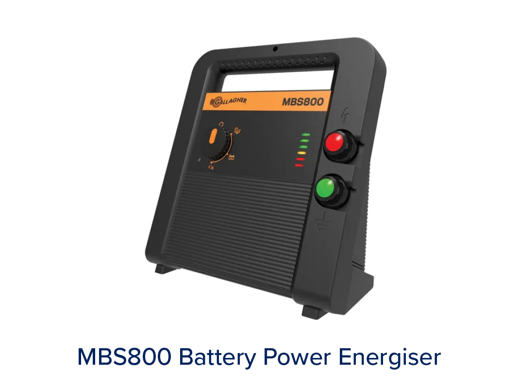 Energisers - Image 4