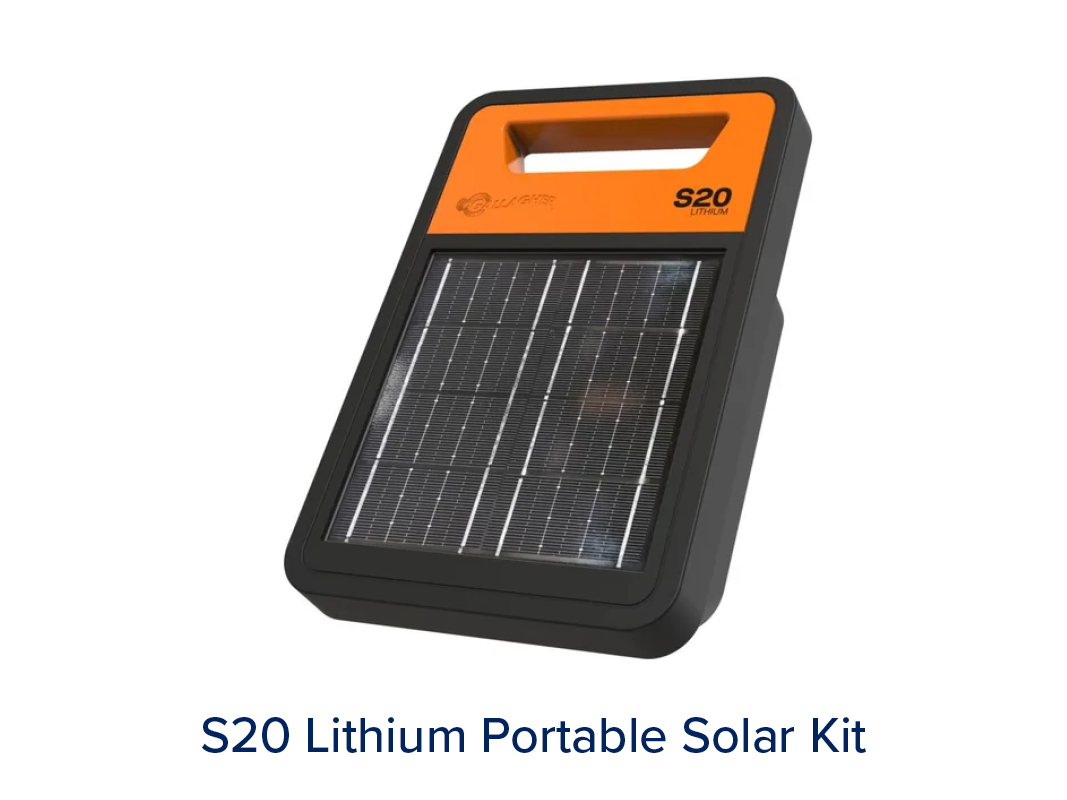 Energisers - Image 5