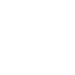 cow copy 4