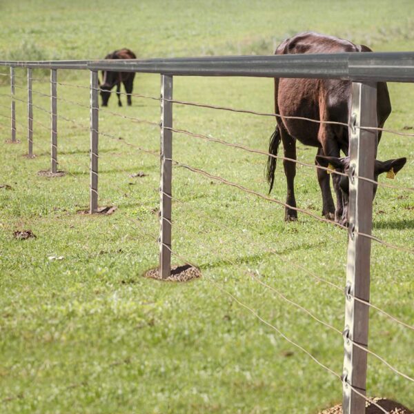 Cattle Yard Cable Gear