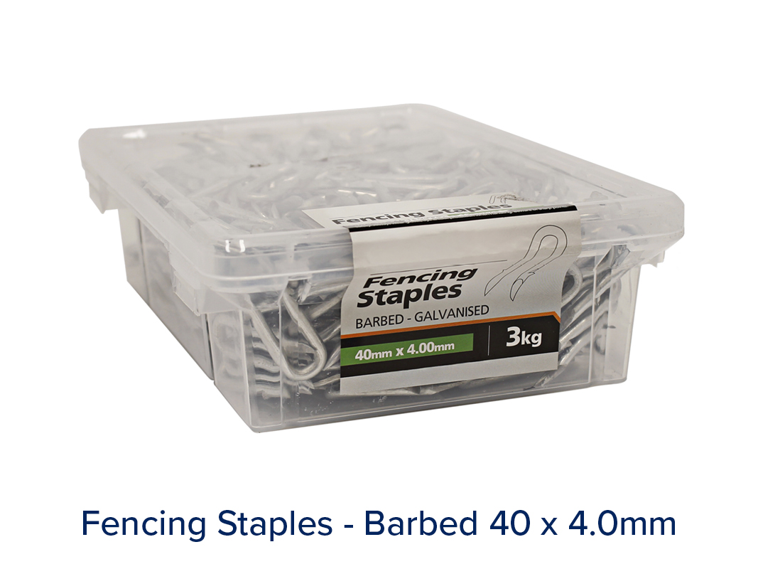 Staples - Image 2