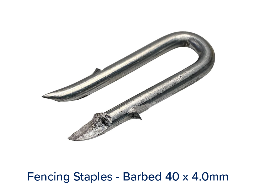 Staples - Image 3