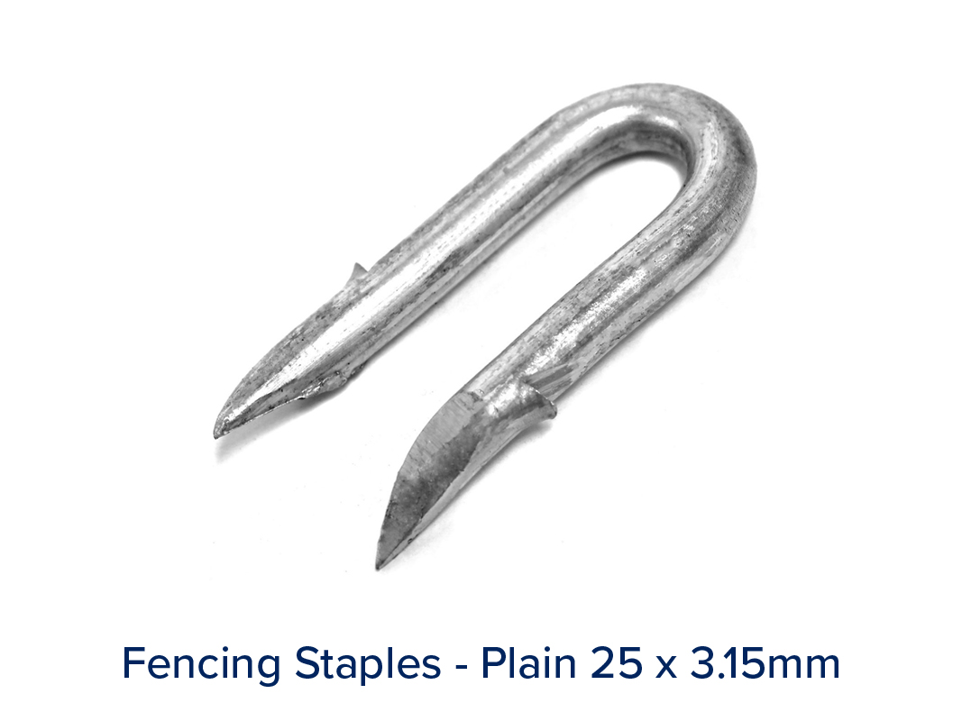 Staples - Image 5