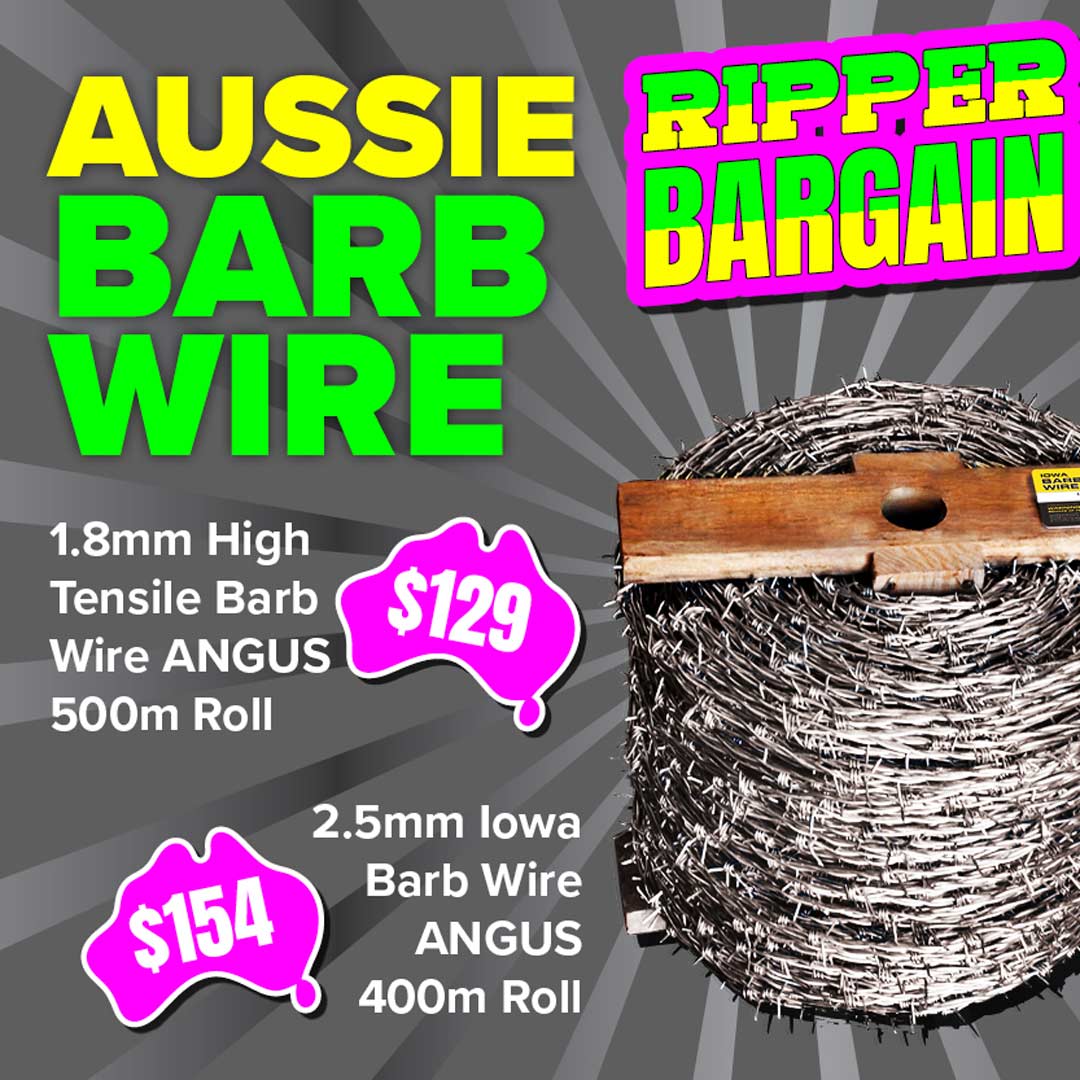 BS-Oct-Specials_Aussie-Steel-Mth_eDM#2_V4_Web2